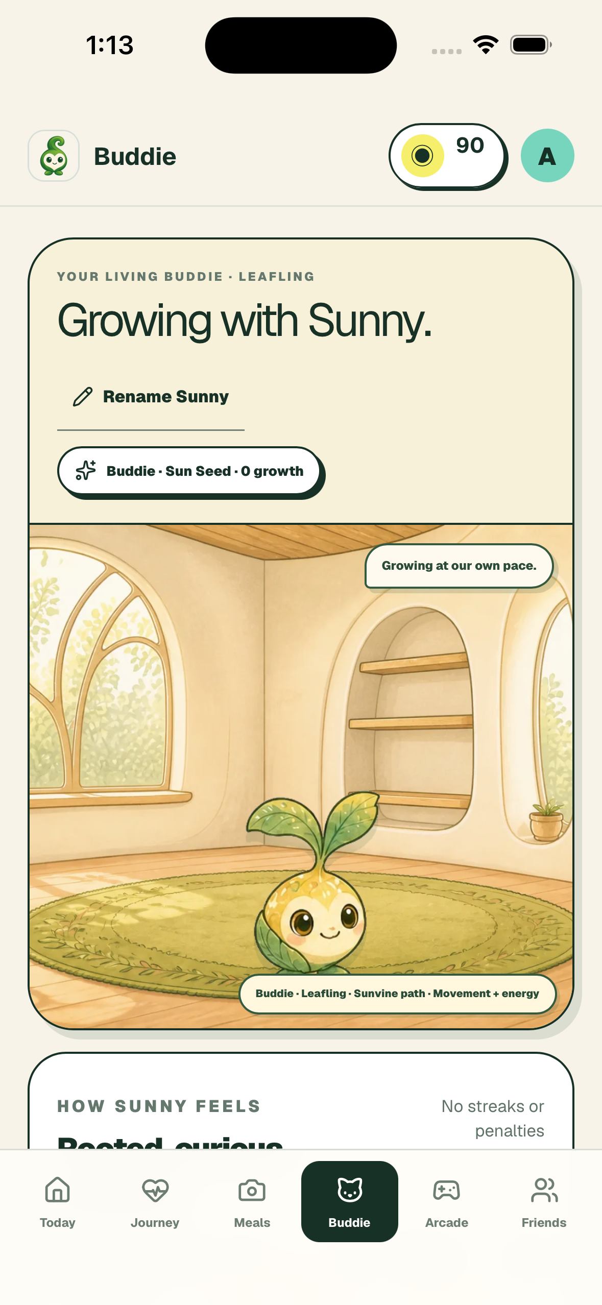 Buddie companion room with Sunny, a seedling, and its growth meter
